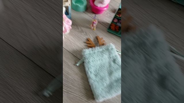 продолжение приют