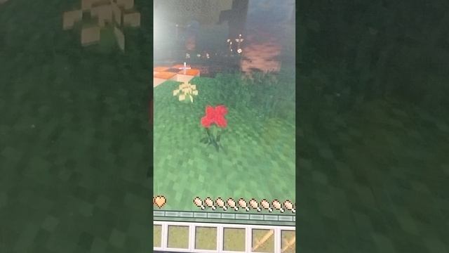играю в майнкрафт