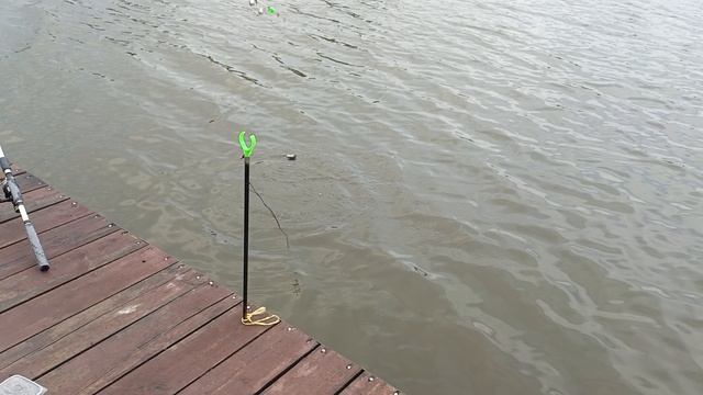 1000060775.mp4