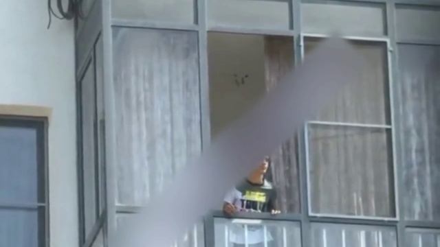 В Красноярске бабуин каждый день занимается культурным обогащением харкая в прохожих местных жителей