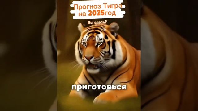 Астропрогноз Тигра на 2025год