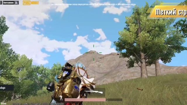 1000030604.mp4