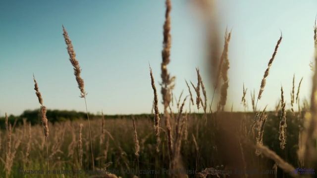 Линии горизонта вибрируют вместе с каждой нотой - Lost-On-Country-Roads -- Ketsa -- The New World