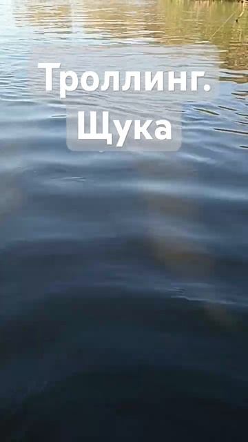 Троллингуем. #щука #рыбалка #троллинг #fishing #shorts