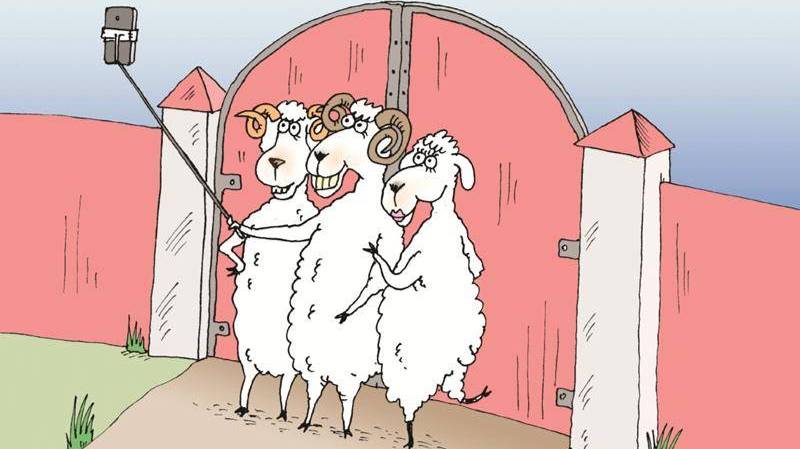 Простой, надёжный и удобный фиксатор для ворот