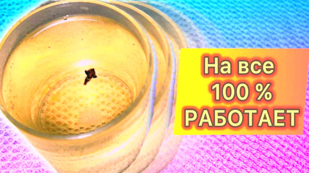 Вы делали это неправильно! 10 лайфхаков для дома и дачи, которые работают на 100% | Советы экспертов