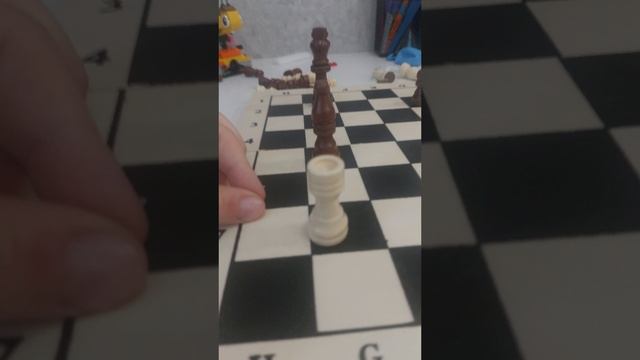 20250614_190429.mp4