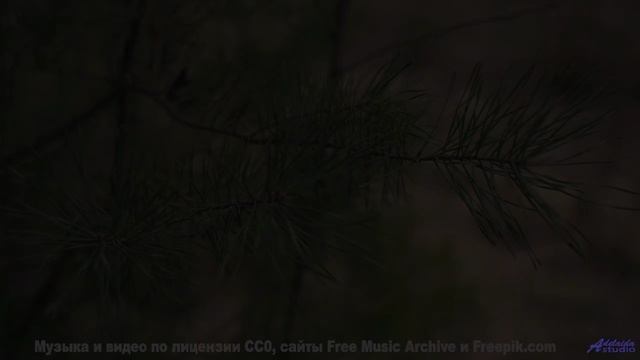 Ты слышал ЭТО под водой - Still Room On The Night Train feat. Soularflair -- Ketsa -- Abundance
