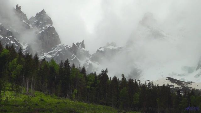 Лес поёт - вы слышите - Reworking -- Ketsa -- The New World