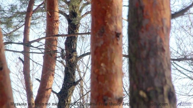 В голове остаётся только один вопрос - как такое возможно - Couple Goals -- Tadz -- Soul Symphonies