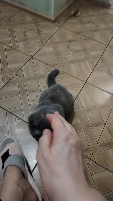 Соскучилась по мне за 10 дней