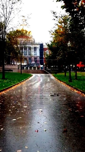 Всё произошло на камеру