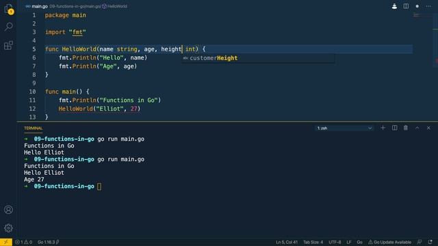 10 - Functions in Go