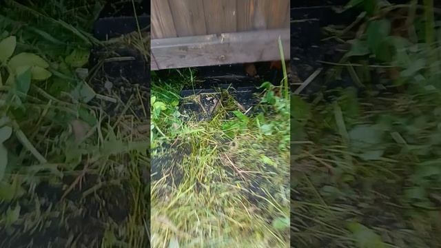 1000220513.mp4