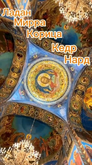 Масла, упоминавшиеся в Библии ✨