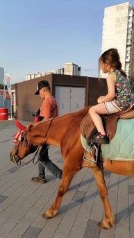 VID_20250607_192358.mp4