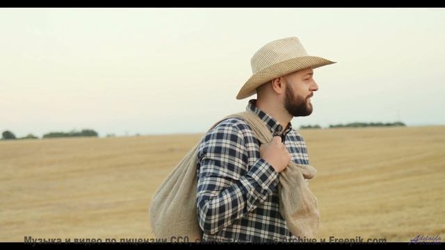 Ты НЕ ЗНАЛ, что Земля ТАКАЯ! - Pews -- NADINE -- Live at WFMU for Sophisticated Boom Boom with Sheil