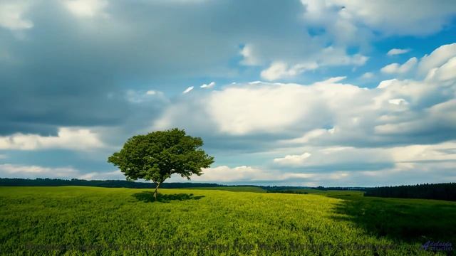 Пейзажи расцветают сильнее вместе с этим треком - Feeling Sunny -- Scott Holmes Music -- Happy Backg