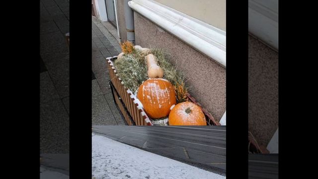 St.Petesburg Autumn