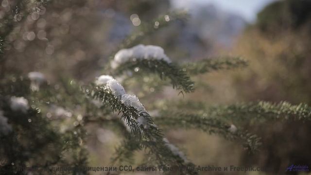 Ритмы поднимают над горизонтом вместе с камерой - Dream within a Dream (ID 732) -- Lobo Loco -- DREA