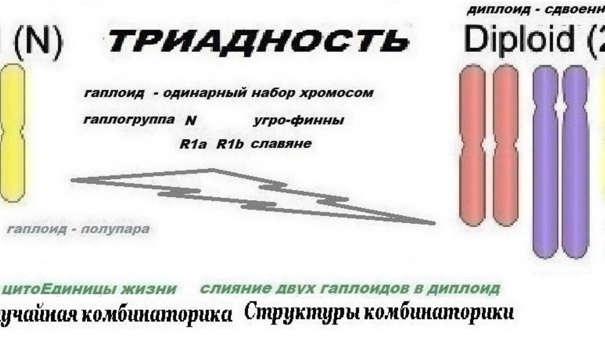 3-1+++++++ Вложенность Алгоритмичность Системность биоЖизни Петух без перьев