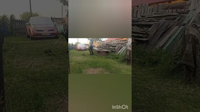 Влог 15 июня 2025/Алтайский край