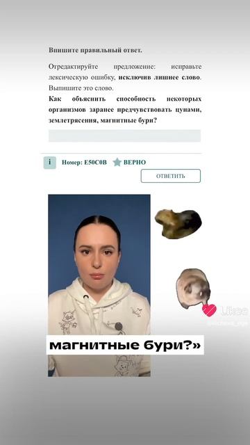 Что будет на ЕГЭ по русскому в 2026 году? #егэ #сочинение #репетиторпорусскому