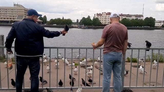 12 июня 2025, Выборг