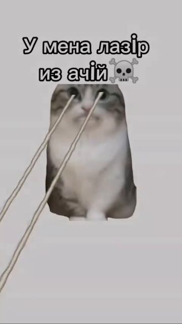 1000008024.mp4