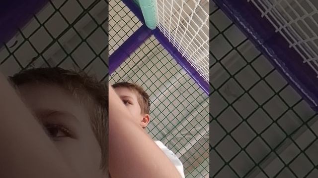 третья часть мы прятаемся от Киры