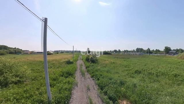 7816264