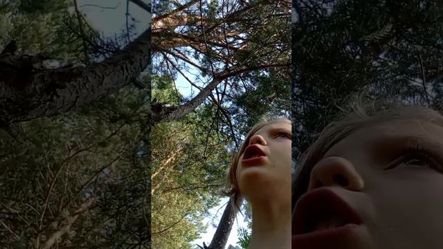 старшая и младшая сестра