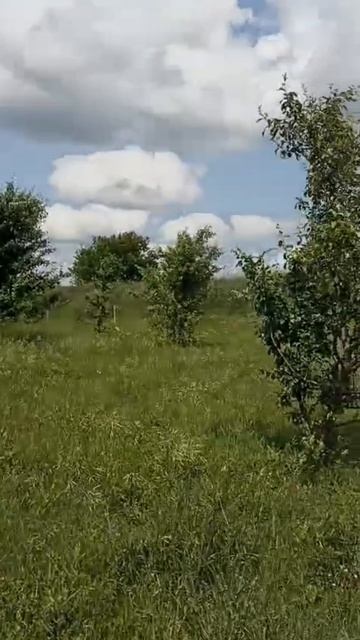 Фермерство в июне