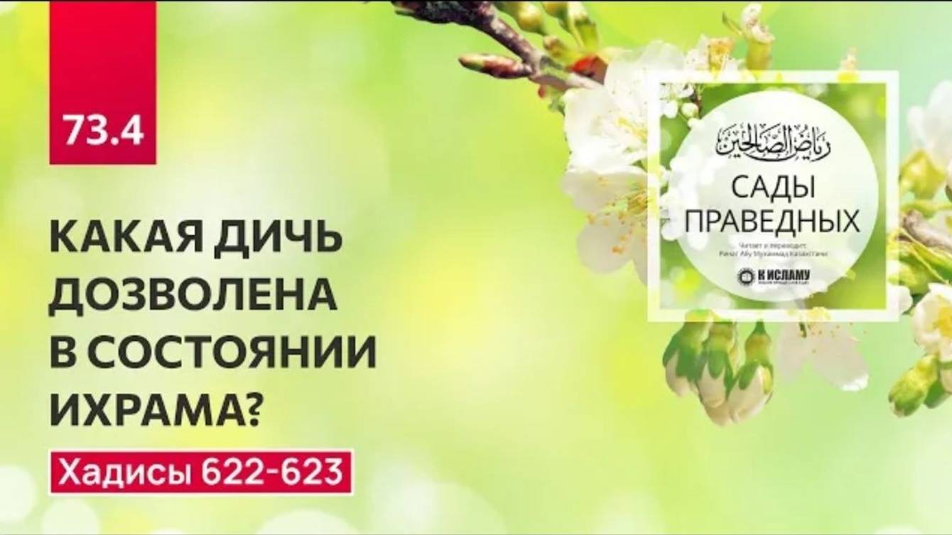 73.4 Сады праведных. Какая дичь дозволена в состоянии ихрама Хадисы 622-623