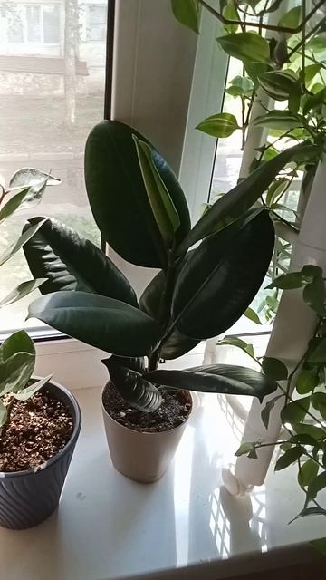 Человек может жить без природы, но только на природе он оживает.