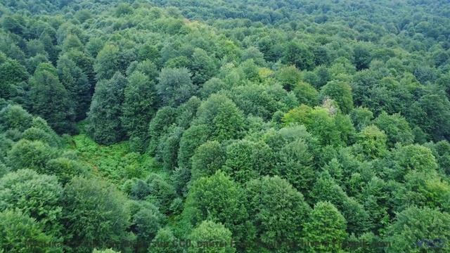 Не смотри, если не хочешь зависнуть на час - Выпускайте Кракена -- POVALISHIN DIVISION -- Выпускайте