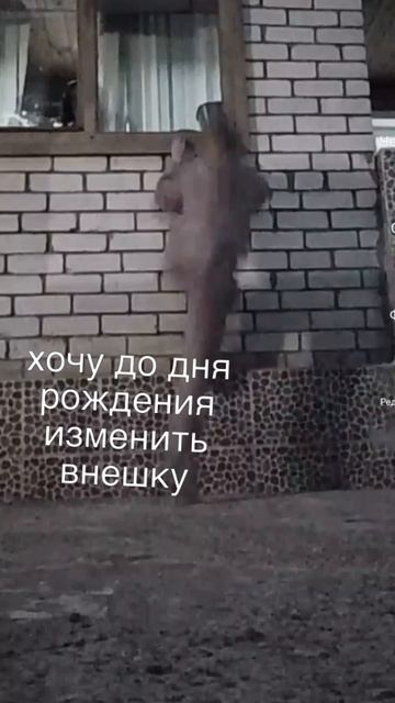 scene_output.mp4