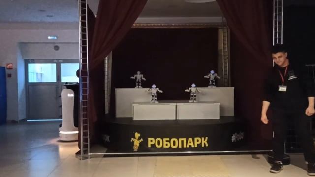 Танцующие роботы. РобоПарк. г. Тула. Ноябрь 2024 г.