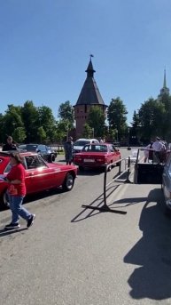 #автоссср #ретро #ретроавтомобили #питомцы