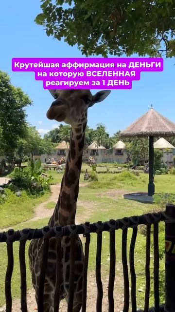 Читай описание