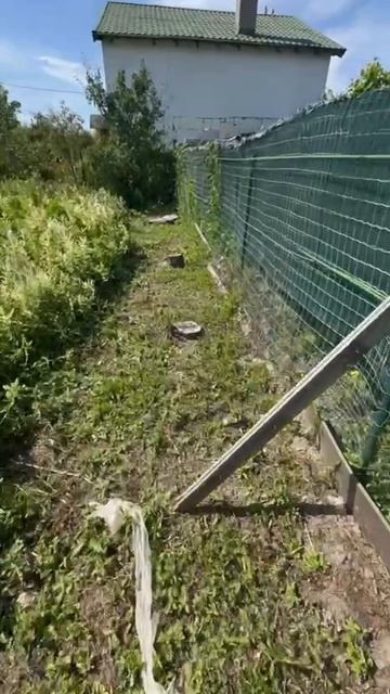 Участок в Сосновке