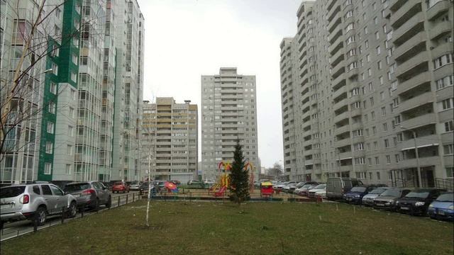 Мои старушки