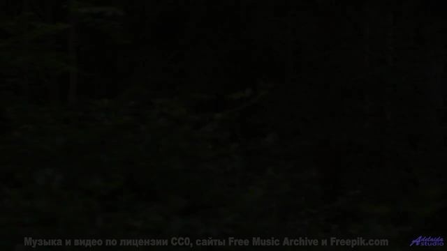 Звуки, заряжающие ваш телефон - миф или реальность - Party Upon Realising Youre All Fucked -- Ergo P