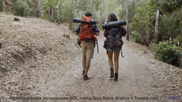 Трек, который вы будете слушать, когда в сотый раз заблудитесь вместе - Your Nature -- HoliznaCC0 --