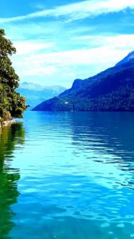 Всё, что попало в объектив