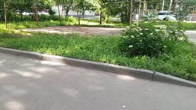 1000008573.mp4