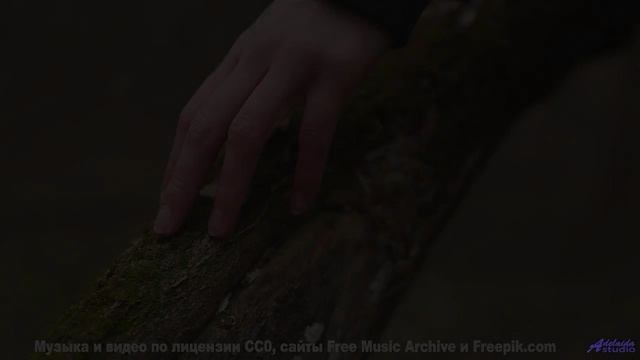 Звуки, программирующие ДНК - научный прорыв или опасность - Between My Eyes -- Kirk Osamayo -- Seaso