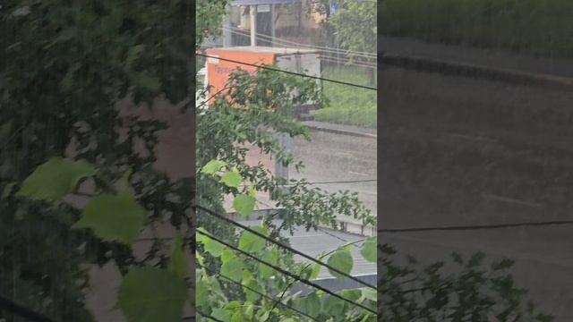 дождь 15-06-2025