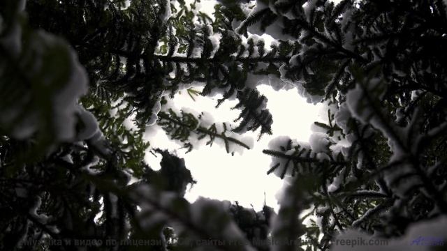 Музыка раскрывает чувства быстрее любого слова - The Future was Japanese -- cryptic scenery -- Stazi