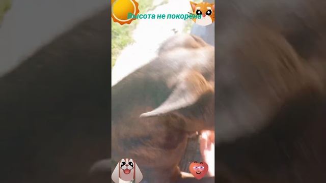 высота непокорена